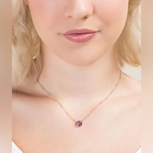Francesca's Amethyst Power Stones Necklace